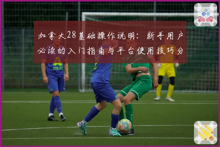 加拿大28基础操作说明：新手用户必读的入门指南与平台使用技巧分享
