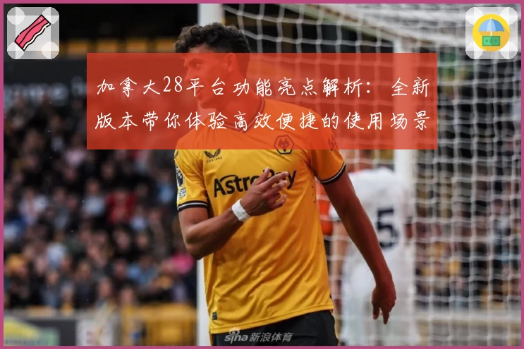 加拿大28平台功能亮点解析：全新版本带你体验高效便捷的使用场景