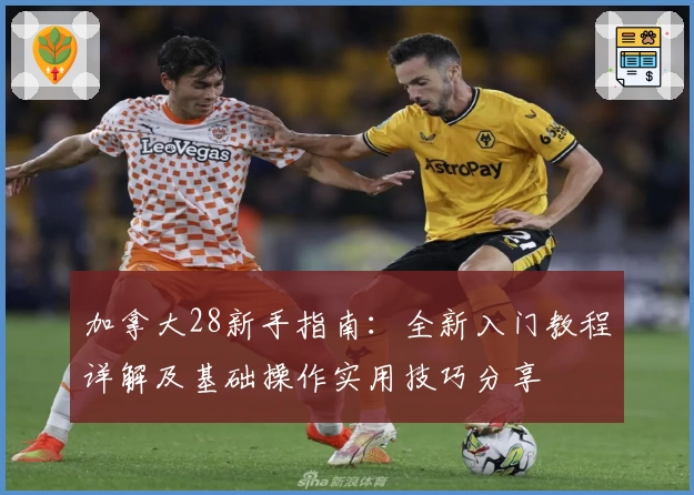 加拿大28新手指南：全新入门教程详解及基础操作实用技巧分享