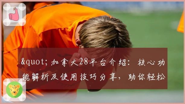 "加拿大28平台介绍：核心功能解析及使用技巧分享，助你轻松掌握操作流程"