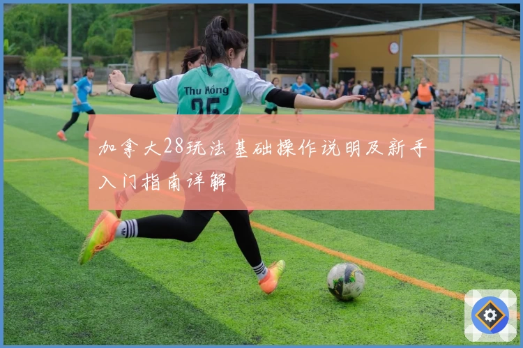 加拿大28玩法基础操作说明及新手入门指南详解