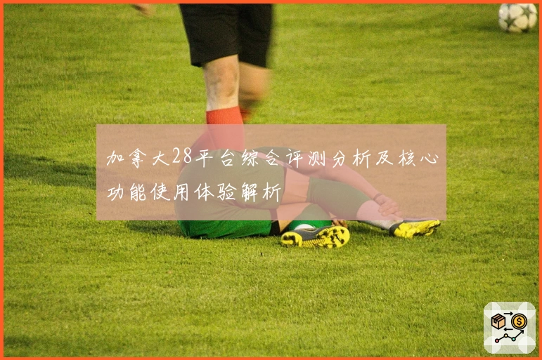 加拿大28平台综合评测分析及核心功能使用体验解析