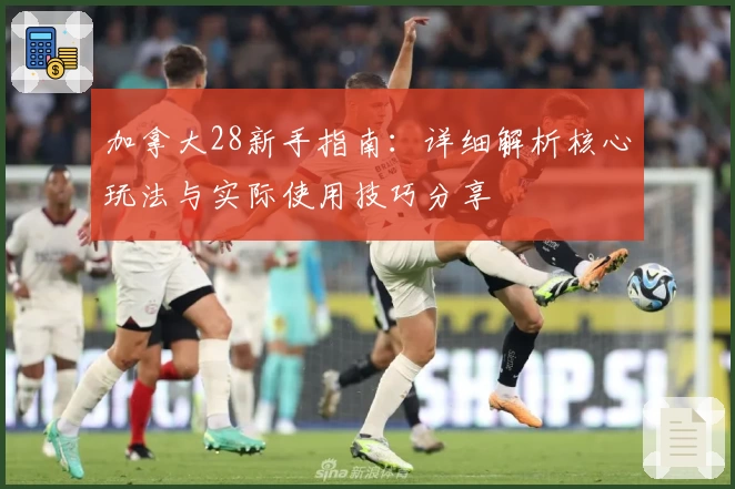 加拿大28新手指南：详细解析核心玩法与实际使用技巧分享