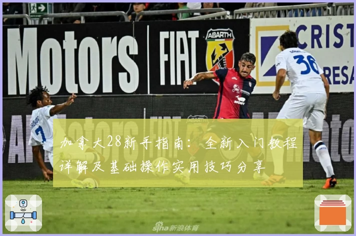 加拿大28新手指南：全新入门教程详解及基础操作实用技巧分享