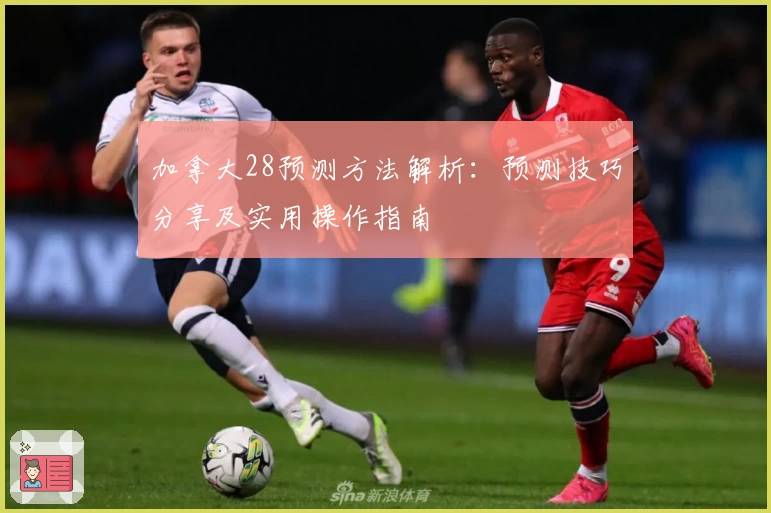 加拿大28预测方法解析：预测技巧分享及实用操作指南