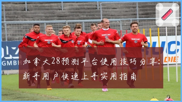 加拿大28预测平台使用技巧分享：新手用户快速上手实用指南