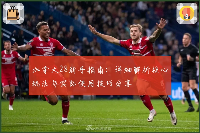 加拿大28新手指南：详细解析核心玩法与实际使用技巧分享