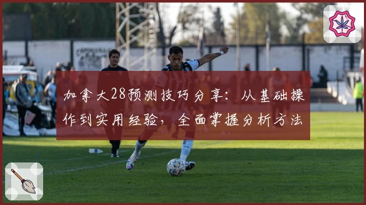 加拿大28预测技巧分享：从基础操作到实用经验，全面掌握分析方法