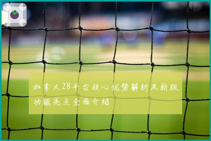 加拿大28平台核心优势解析及新版功能亮点全面介绍