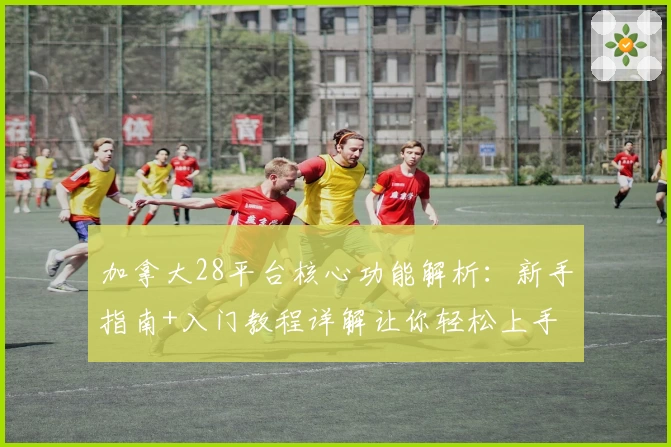 加拿大28平台核心功能解析：新手指南+入门教程详解让你轻松上手