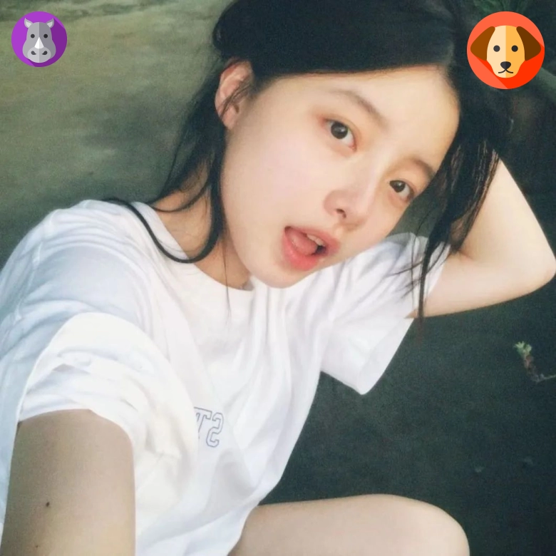 英超熬夜粉_77